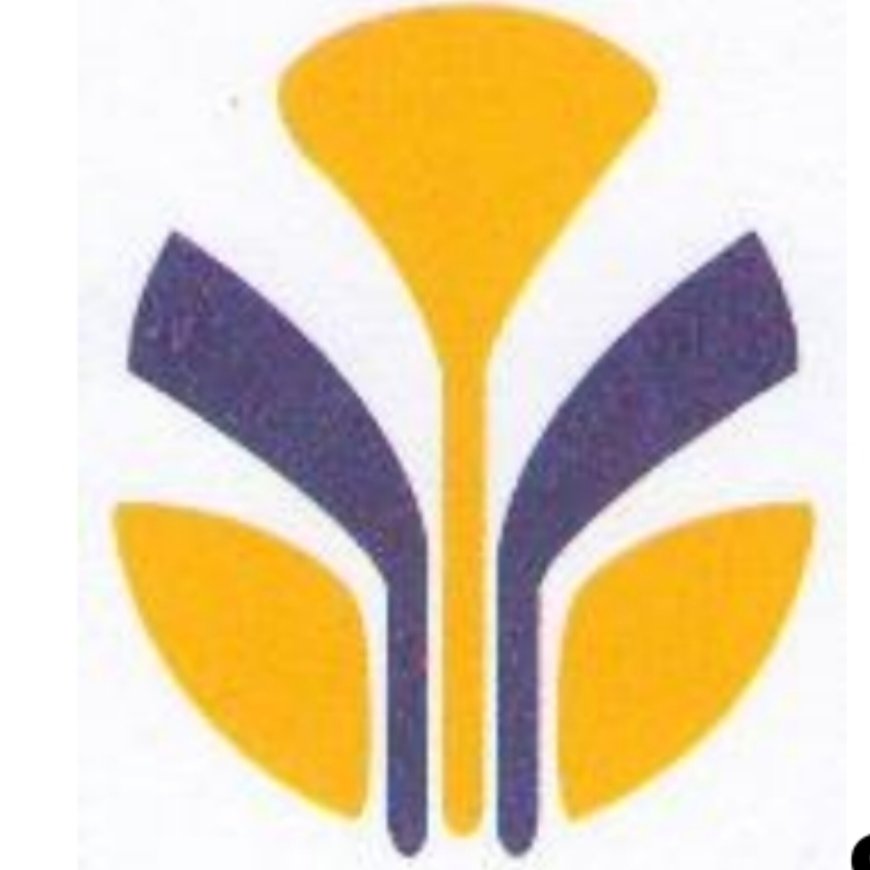 Accountants — 5 Positions at Shamo Industries LTD